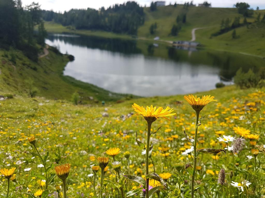 Hotel Berghof Tauplitzalm Экстерьер фото